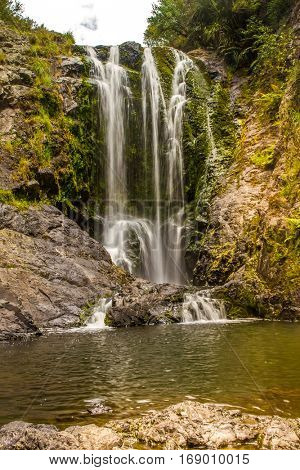 beautiful water fall in forest, new zealand, waipu, piroa falls