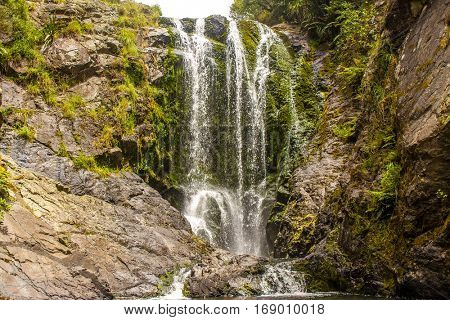 beautiful water fall in forest, new zealand, waipu, piroa falls