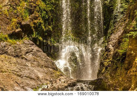 beautiful water fall in forest, new zealand, waipu, piroa falls