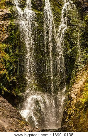 beautiful water fall in forest, new zealand, waipu, piroa falls