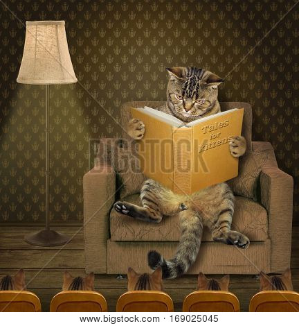 The clever cat is reading fairy tales for kittens. Kittens listen to him carefully.