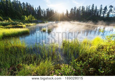 Scenic Picture lake with mount Shuksan reflection in Washington, USA