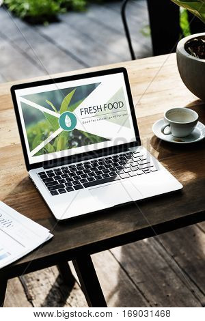 Fresh Food Healthy Lifestyle Organic