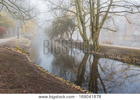 Beautiful morning light and fog in public park