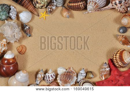Sea shells frame on sand beach, Travel concept,