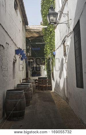 Cordoba (Andalucia Spain): old typical street in the Juderia with plants and barrels
