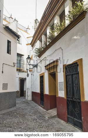 Sevilla (Andalucia Spain): old typical street in the Barrio de Santa Cruz historic quarter near the cathedral