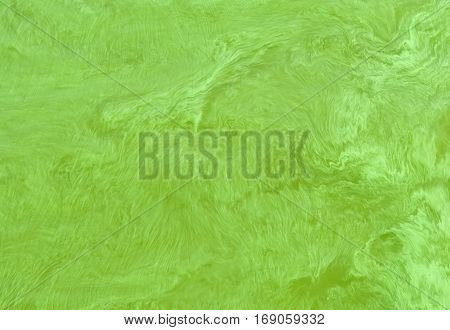 Natural background - surface of Ukrainian river Dnepr covered by Cyanobacterias at hot season.