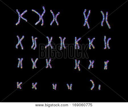 Normal human male karyotype, unlabeled. 3D illustration