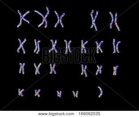 Turner s-syndrome karyotype, unlabeled. X0 karyotype. 3D illustration