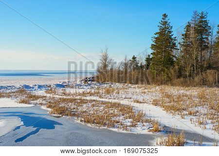Winter shoreline with salt marsh along the coast of Prince Edward Island, Canada.