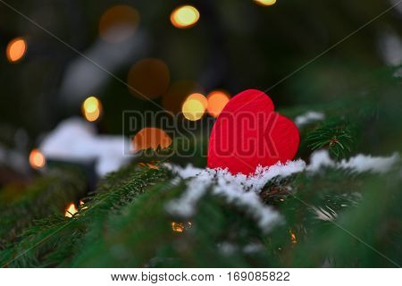 Red Heart On Branches