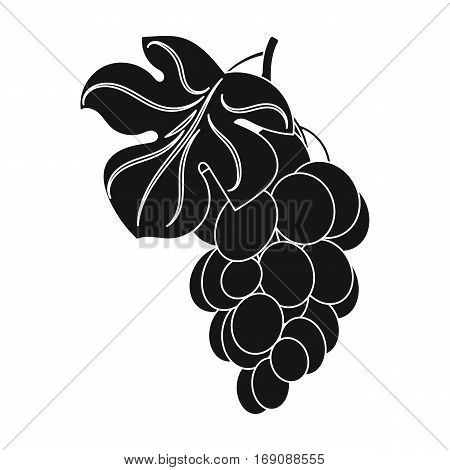 Bunch of yellow grapes icon in black design isolated on white background. Wine production symbol stock vector illustration.
