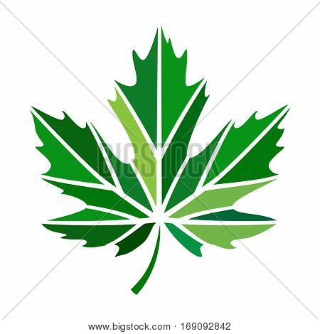 vector stylize logo with green maple leaf