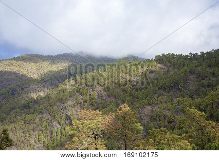 Central Gran Canaria In January
