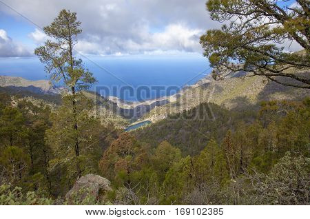 Central Gran Canaria In January