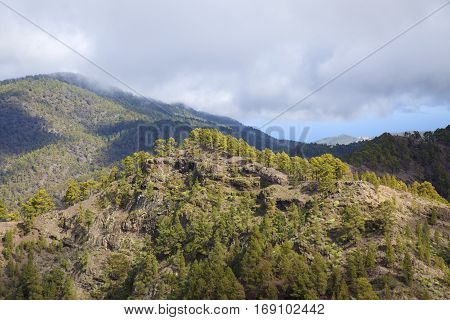 Central Gran Canaria
