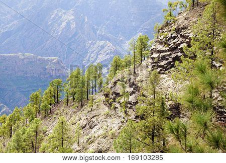 Central Gran Canaria