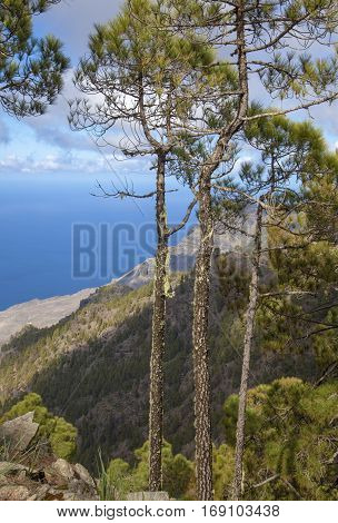 Central Gran Canaria