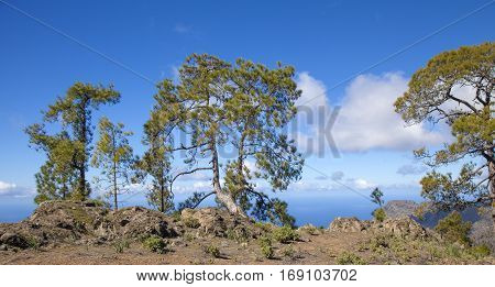 Central Gran Canaria