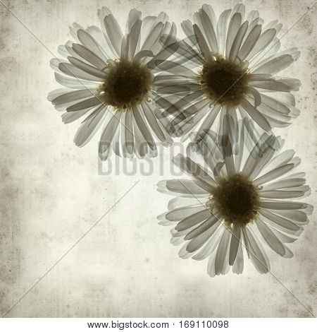 Textured Old Paper Background
