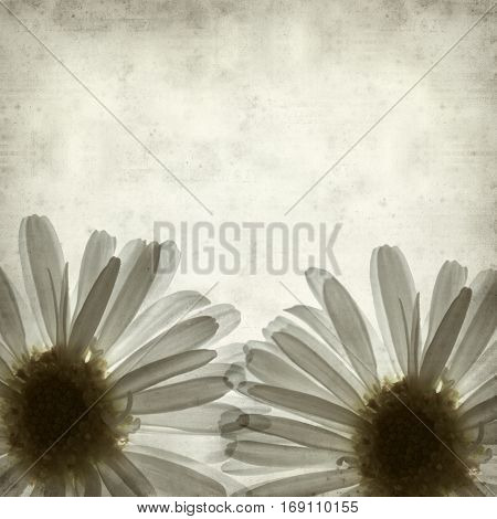 Textured Old Paper Background