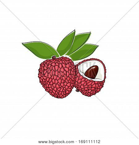 Lichee Isolated on White, Tropical Fruit Lichi