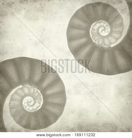 Textured Old Paper Background