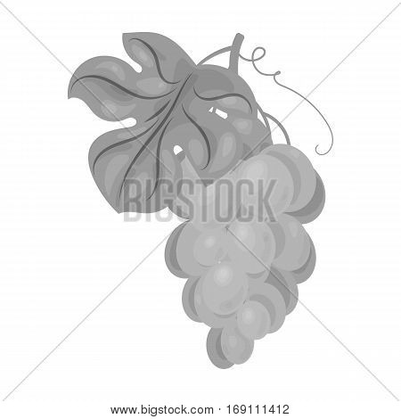 Bunch of yellow grapes icon in monochrome design isolated on white background. Wine production symbol stock vector illustration.