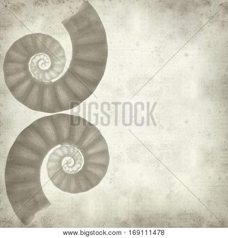 Textured Old Paper Background