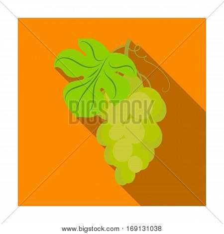 Bunch of yellow grapes icon in flat design isolated on white background. Wine production symbol stock vector illustration.