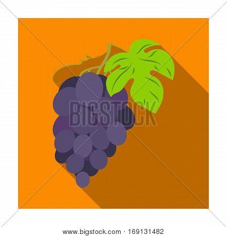 Bunch of grapes icon in flat design isolated on white background. Wine production symbol stock vector illustration.