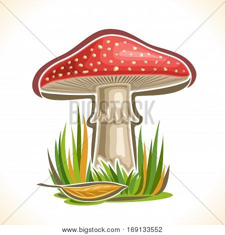 Vector logo red Toadstool Mushroom: cartoon still life with single toxic plant amanita muscaria and autumn grass, magic fly agaric mushroom on nature outdoors, icon poisonous toadstool organic fungus.