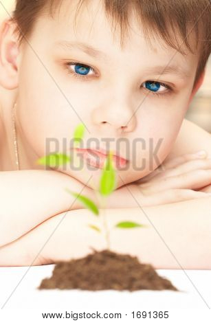 Le garçon observe la culture d'un jeune Plant.