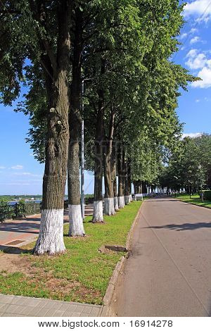 Estrada Parque