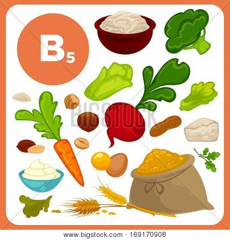 Set of organic food with vitamin B5. Ingredients for health: vegetable - broccoli, beet and carrot, meal, egg and cheese, nuts, creame. Healthy nutrition, diet with B 5 sources. Vector icons 