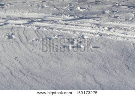 The street is white with snow. Snow is the ski track. There are some traces of the foot of man. No one. A bright Sunny day.