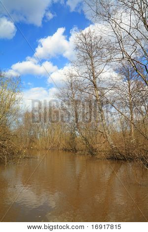 madera de primavera en agua de la inundación