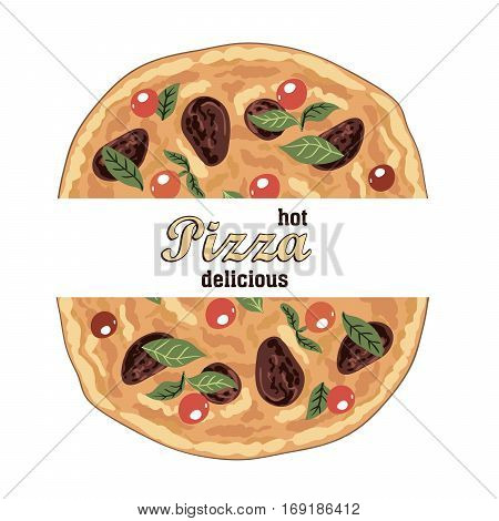 hot delicious Italian pizza and ingredients. color vector illustration