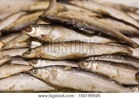 Raw smelt fish in the store like background