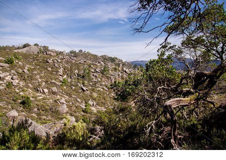 Landscape of Peneda geres national park in Portugal