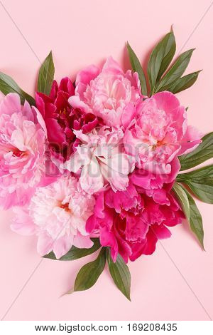 nice peonies