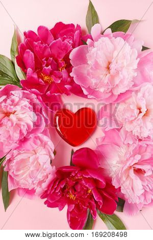 nice peonies