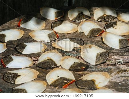 Scale of the pirarucu also known as arapaima or paiche