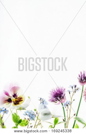 summer flowers