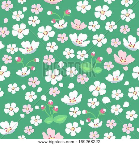 Seamless Vector Pattern With Apple Tree Flowers