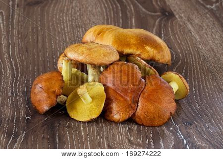 the edible mushrooms on a wooden background