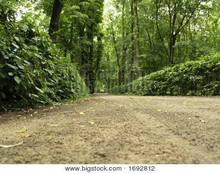 Ścieżka w Royal Park - Warszawa
