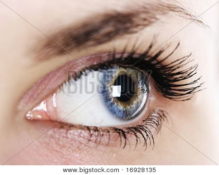 Close-up vrouw oog (ondiepe DoF)