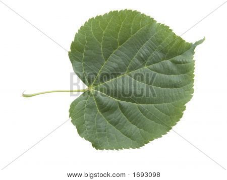 List